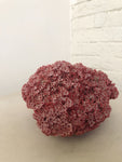 PIECE OF RED CORAL