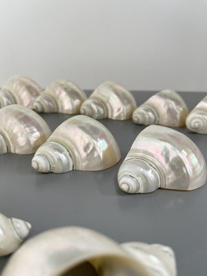 MOTHER OF PEARL NAPKINRINGS