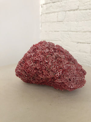 PIECE OF RED CORAL