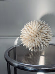 DECORATIVE SHELL SPHERE
