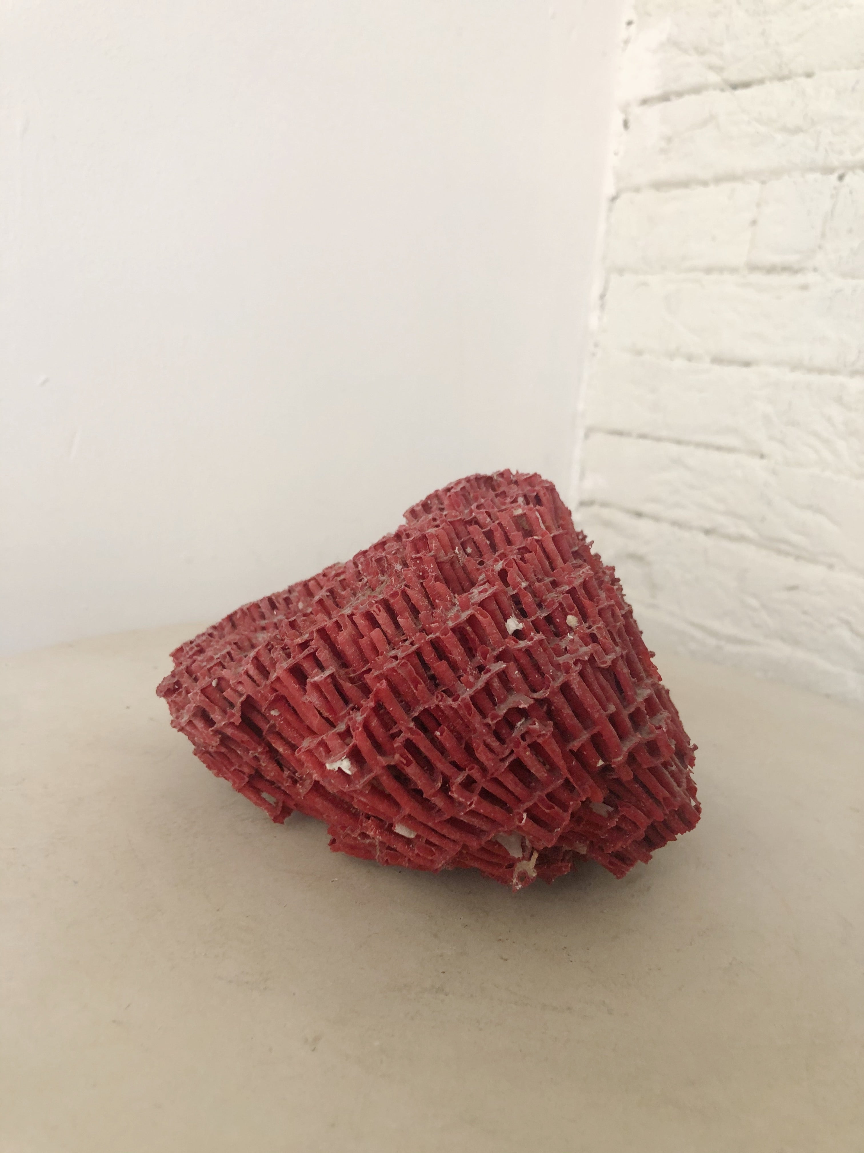 PIECE OF RED CORAL